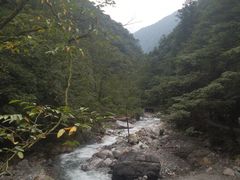 -西岭雪山大飞水景区