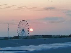 -大湾区中央湿地公园