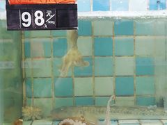 水产区-四海蒸鲜蒸汽海鲜自助(北戴河店)