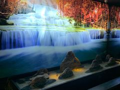 -大桶大足浴(宝山店)