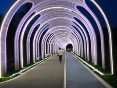 -渤公岛生态公园
