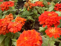 -上海浦江郊野公园-2号停车场