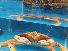 -丁字口海鲜热炒·烧烤大排档