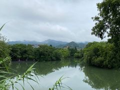 -西溪国家湿地公园