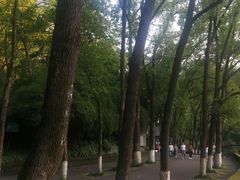 -忠山公园