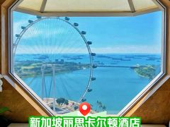-新加坡丽思卡尔顿美年酒店