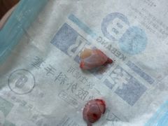 -瑞鹏宠物医院·内科·中兽医·骨科(苗圃店)