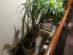 -庄隐阁(悠方广场店)