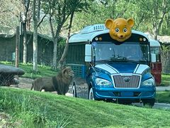 -北京野生动物园