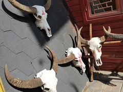 -呀路古热带植物园