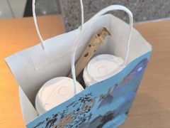 -雾与山茶(大禹城店)