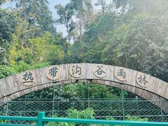 -西双版纳原始森林公园