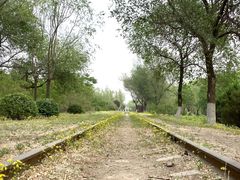 -永定河休闲森林公园