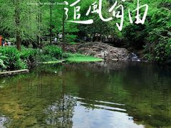-马峦山郊野公园