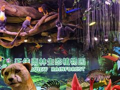 -正佳雨林生态植物园