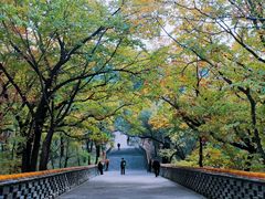 -沈阳市东陵公园