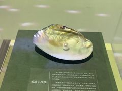 -诸暨博物馆