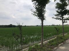 -嘉北郊野公园