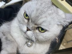 -Oasis绿洲银饰珍珠手作diy(壹方城店)