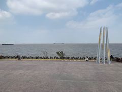 -上海滨江森林公园