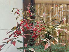 -传统菜农庄(皇姑路店)