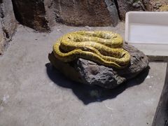 -济南野生动物世界