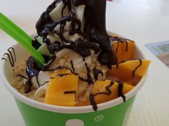 大杯冻酸奶-Salud撒露欧洲冻酸奶(798艺术区店)