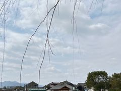 -东钱湖小普陀景区