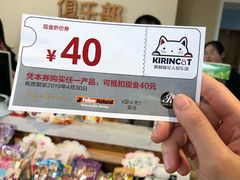 -70cat德文卷毛猫·缅因猫纯种猫舍