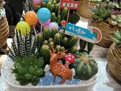 -瑞虹新天地月亮湾