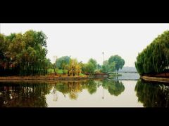 -森林公园(尖草坪区)