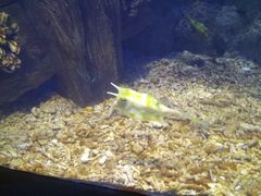 -福州罗源湾海洋世界旅游区