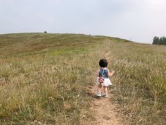 -恋山坝上草原
