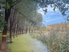 -东郊湿地公园