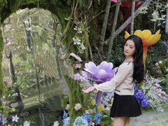 -龙湾潭国家森林公园
