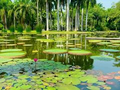 -中国科学院西双版纳热带植物园