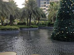 -大堂吧·雪茄吧·威士忌·下午茶(深圳机场希尔顿逸林酒店)