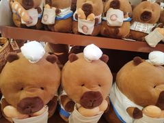 -万象影城(深圳布吉万象汇IMAX店)