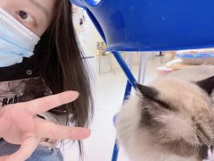 -平行世界·猫咖(首经贸店)