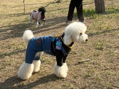 -小意思咖啡店(草桥店)