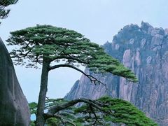 -黄山风景区