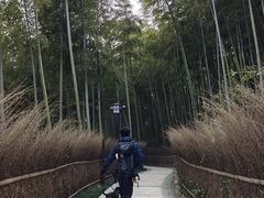 -东明山森林公园