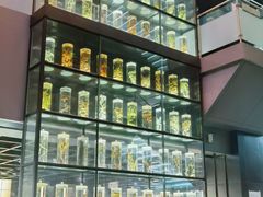 -广东中医药博物馆
