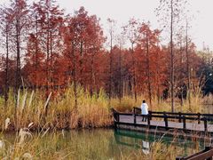 -梁鸿国家湿地公园