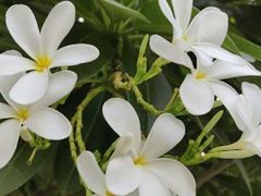 -维乐口腔医院(星海湾分院)
