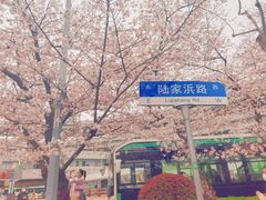 -南浦大桥长途旅游客运站