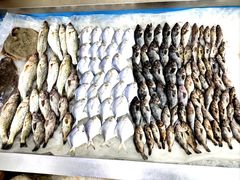 -鑫渔港海鲜本地菜·山海关浑锅(东戴河店)