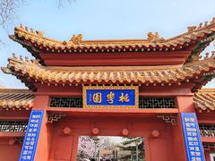 -桃花堤公园