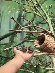 点击看大图 -Zoolung Zoolung动物主题公园(海信广场店)