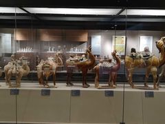 -西安大唐西市博物馆